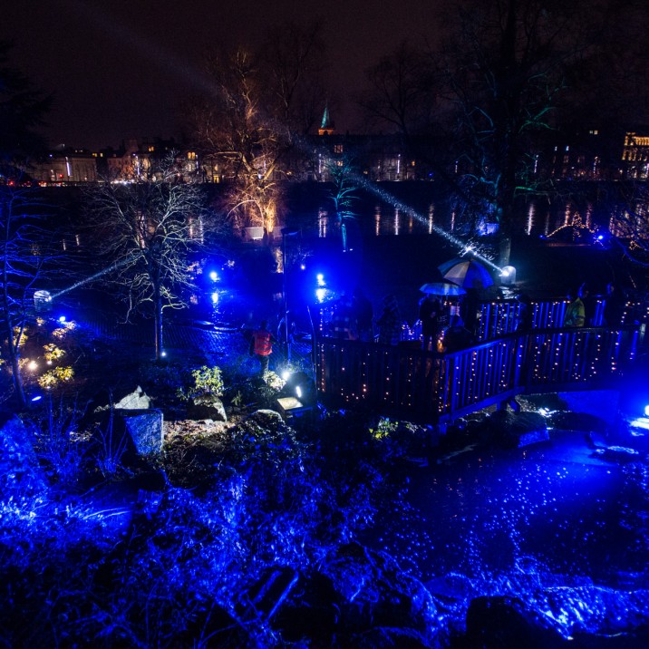 Blue lights beaming around the Norie-Miller walk.