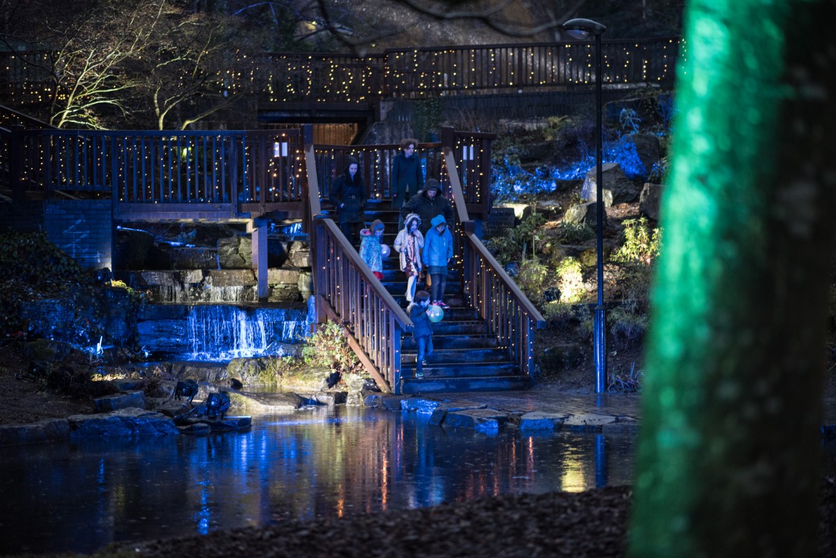 We were in awe of how beautiful the Norie Miller walk looked with the lights reflecting in the water.