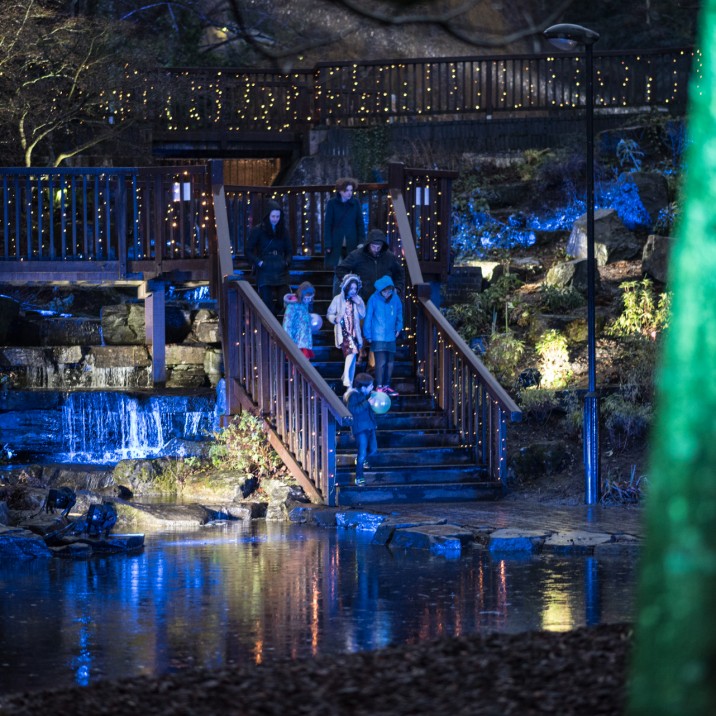We were in awe of how beautiful the Norie Miller walk looked with the lights reflecting in the water.