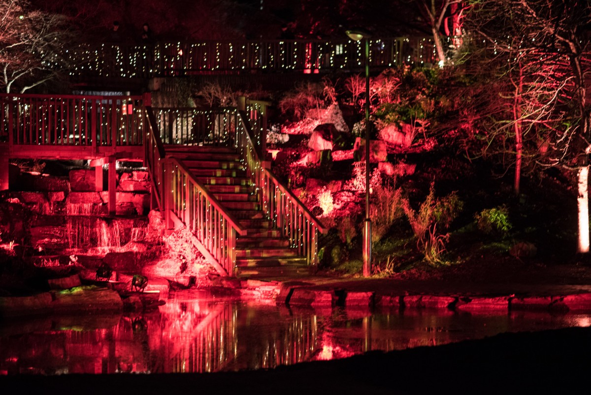 The twinkling fairy lights and bright coloured lights were stunning with the perfect backdrop of the picturesque Norie Miller Walk.