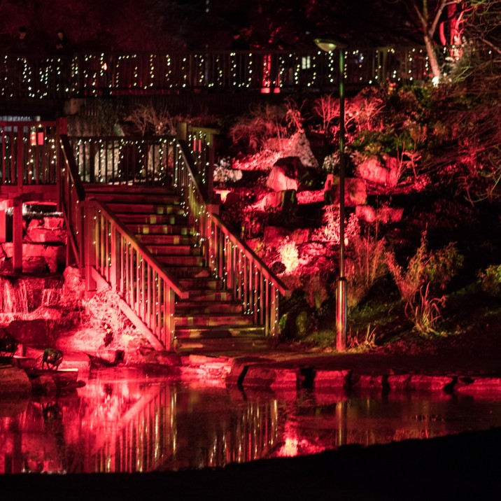 The twinkling fairy lights and bright coloured lights were stunning with the perfect backdrop of the picturesque Norie Miller Walk.