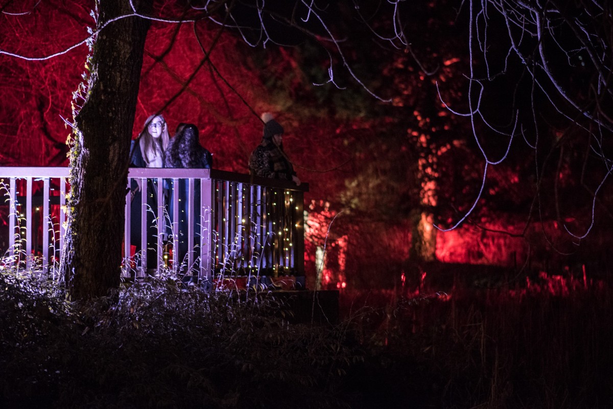 with fairy lights draped in trees and red lights beaming up the trees Norie Miller took on a magical guise.