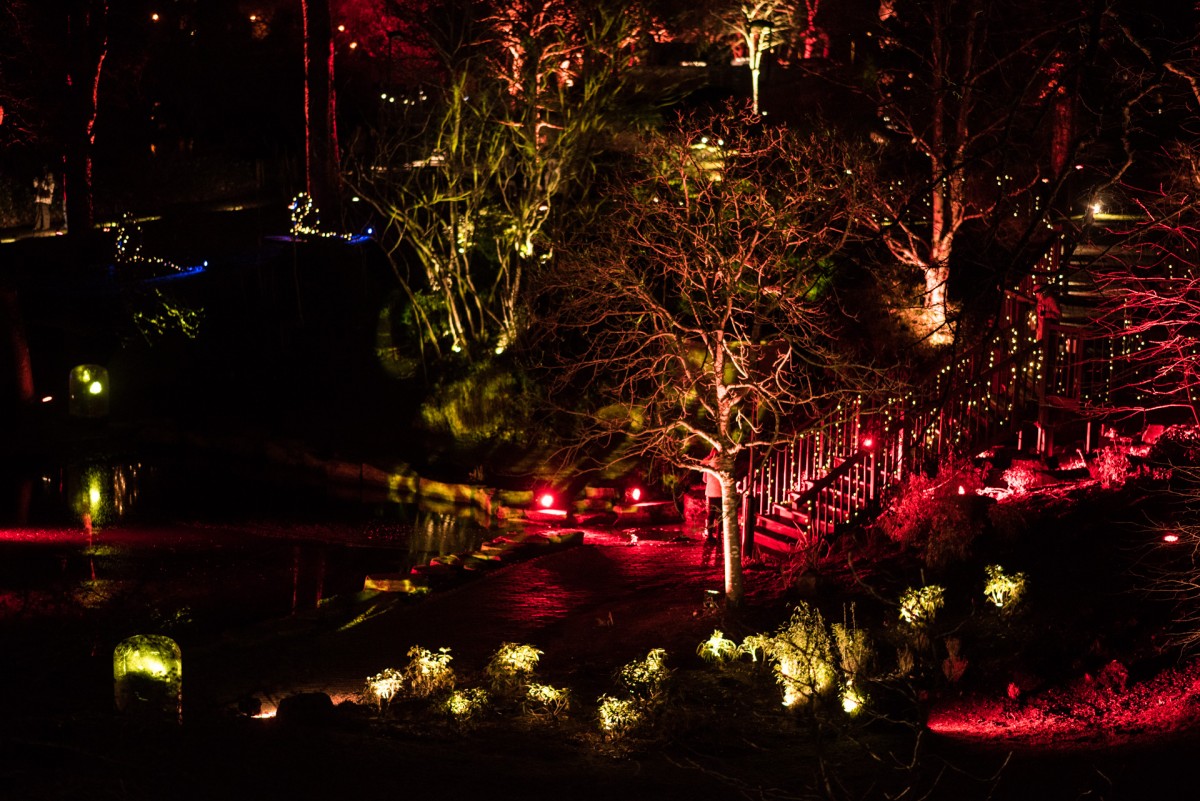 The trees looked wonderful, highlighted in different colours.