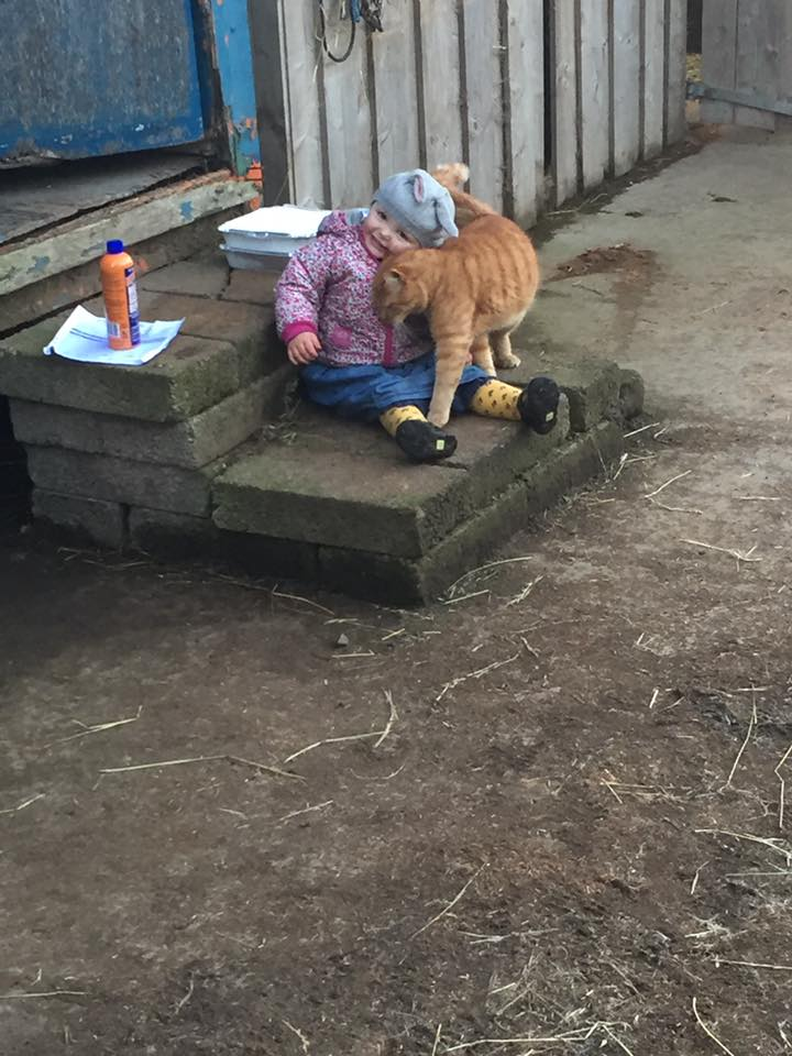 Lottie loves Weasley the cat! Sent In by Claire