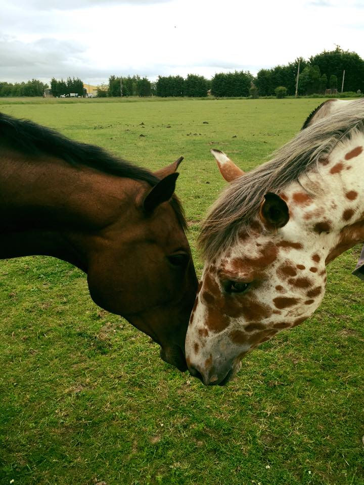 Luca loves Fleur! Sent In by Claire