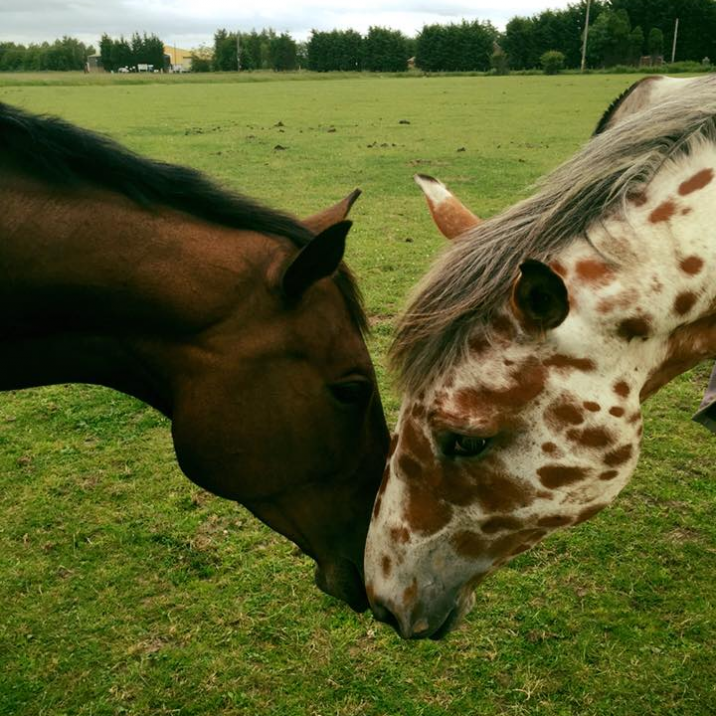 Luca loves Fleur! Sent In by Claire