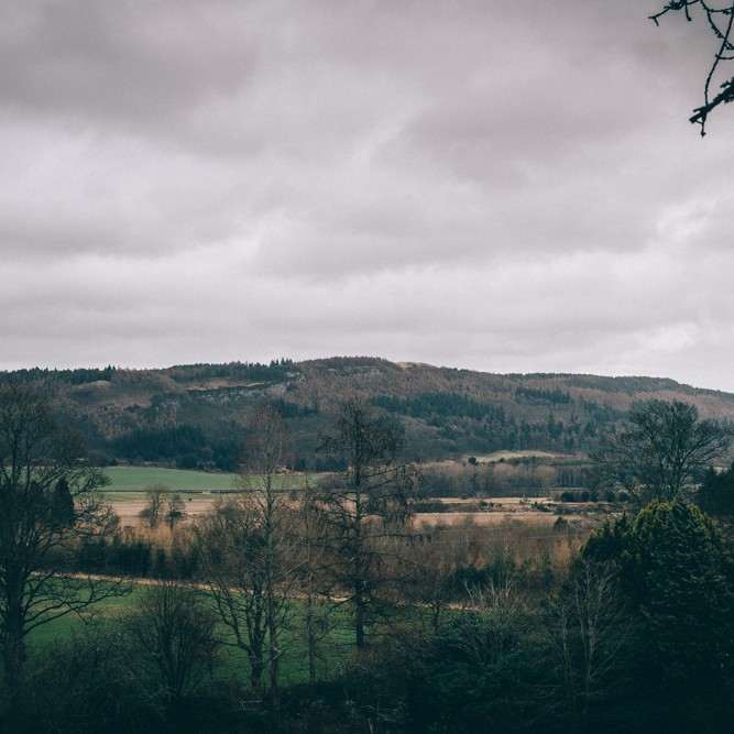 Moncrieffe Hill looking stunning.