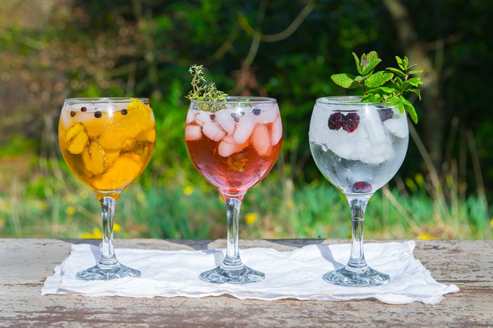 Perth's second Wee G & T Festival from Provender Brown Deli will take place in the Salutation Hotel this September.