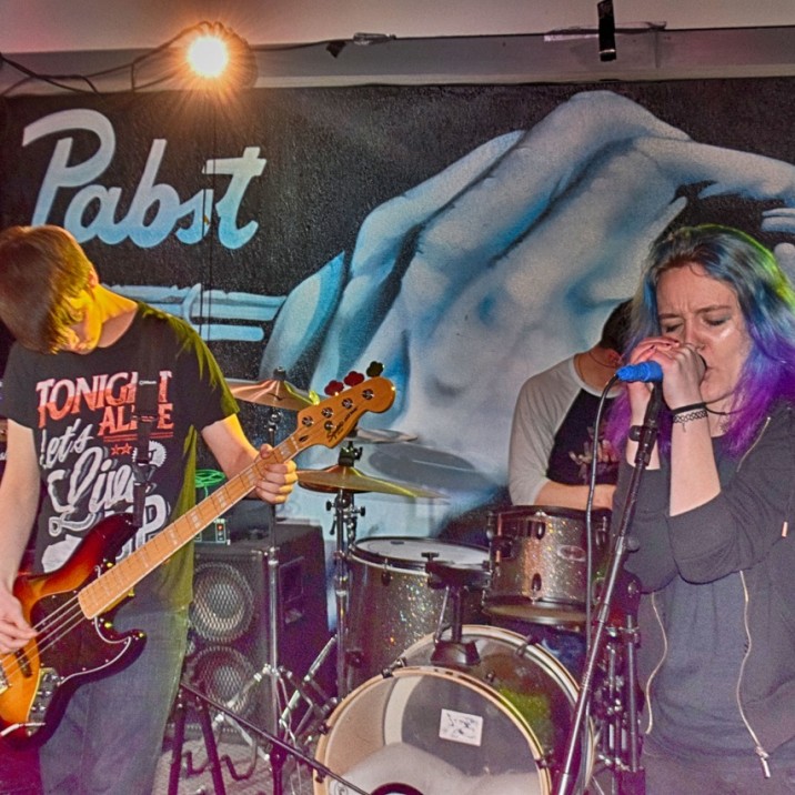 GREENROOM GIG - Landscape Purple Hair