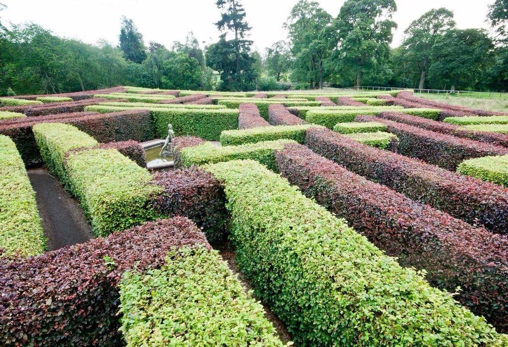 1 Scone Palace Maze new