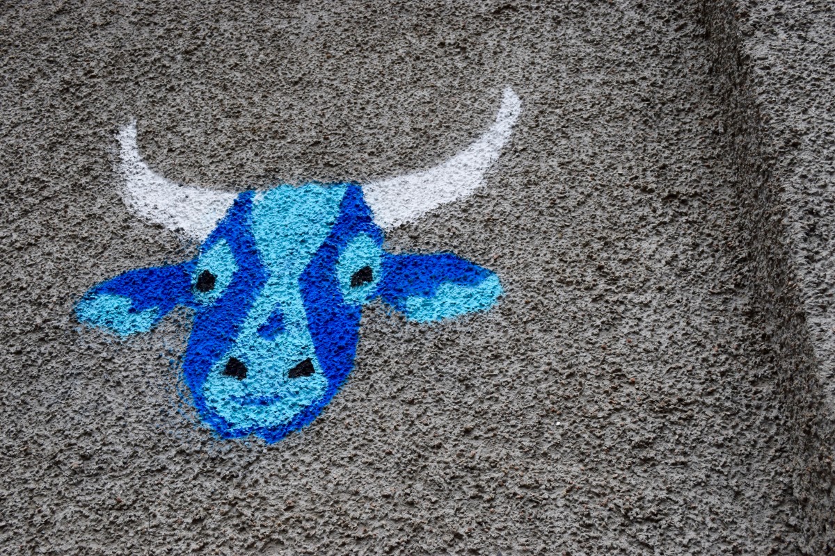 Vennels Guerilla Art Project Cow Vennel Blue Cow
