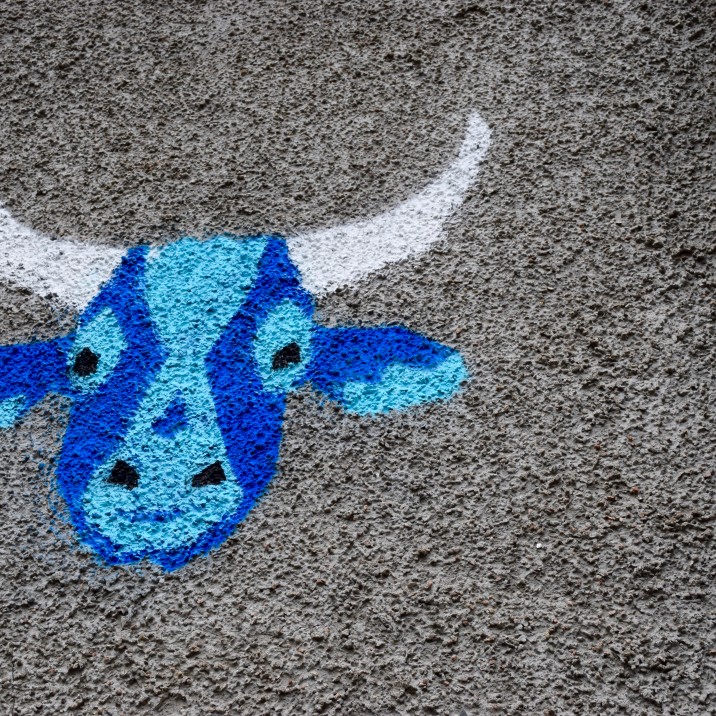 Vennels Guerilla Art Project Cow Vennel Blue Cow