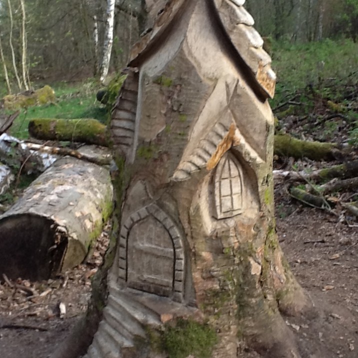Beautiful fairy house carved into a tree at Kinnoull Hill in Perth.