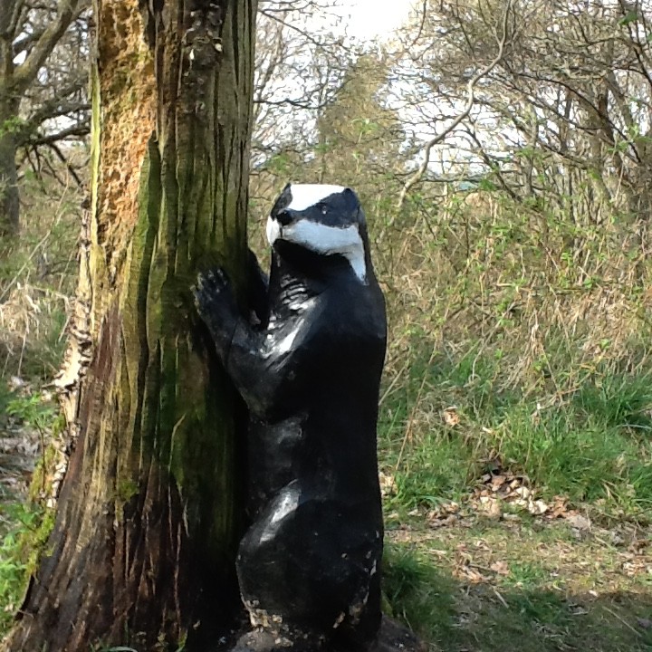 A wooden badger hugging a tree!