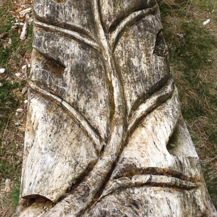 A leaf carved into a fell down tree