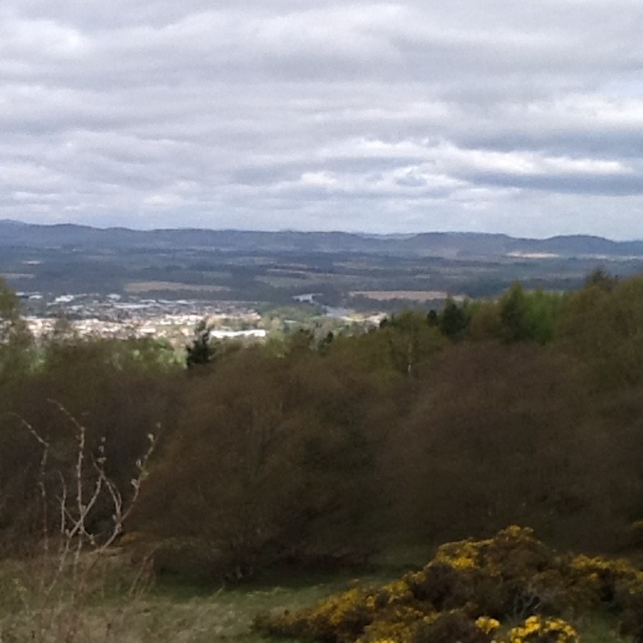 view of perth and trees
from the top of kinnoull