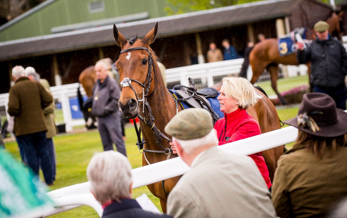 Getting ready to go!