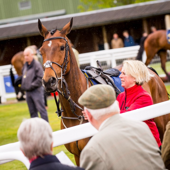 Getting ready to go!