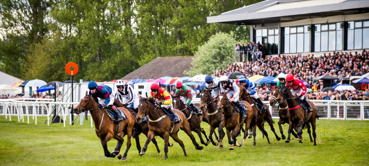 Horses racing round!