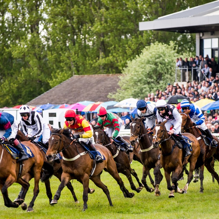 Horses racing round!