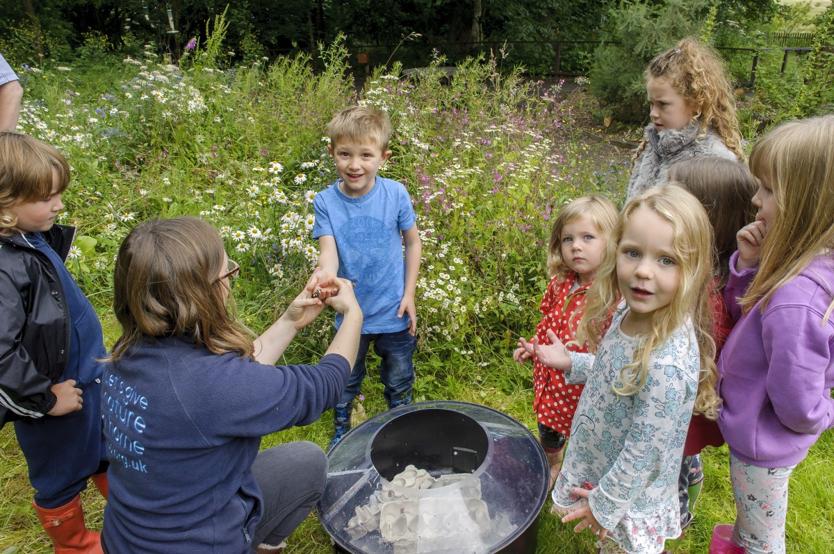 RSPB Loch Leven holding bugs