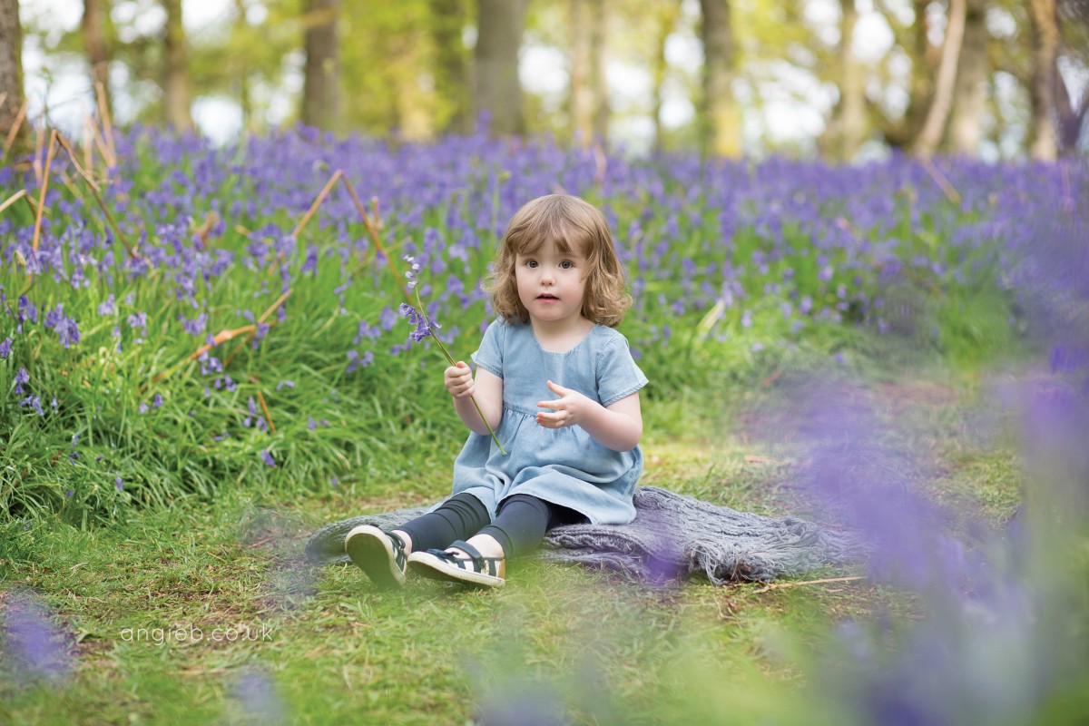 Taking a seat among the bluebells