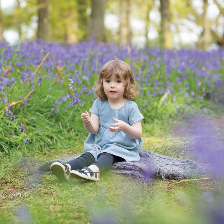 Taking a seat among the bluebells