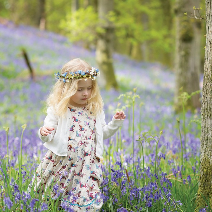Taking a stroll through the field of bluebells!