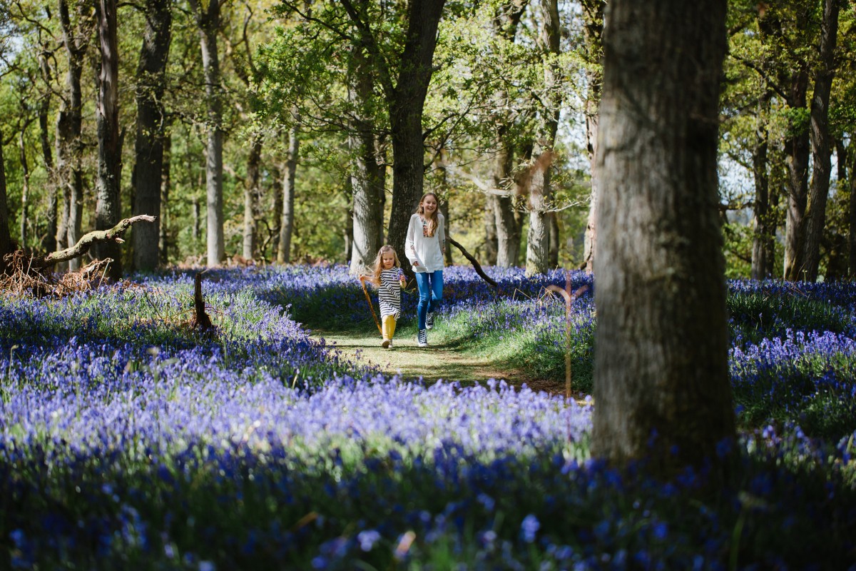 Perfect scenery for a nice walk!