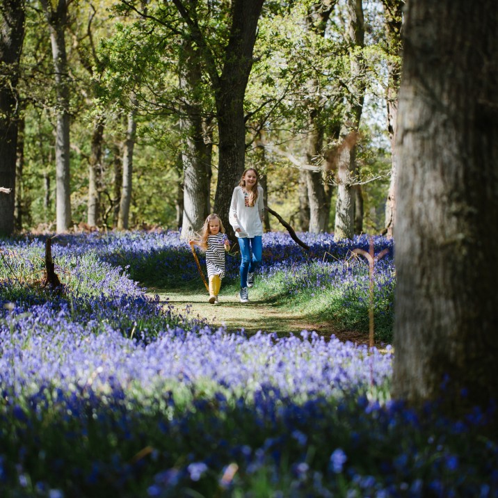 Perfect scenery for a nice walk!