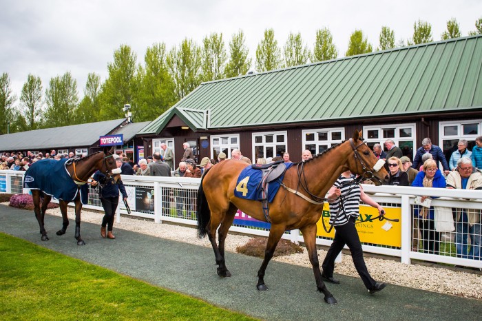 Perth Racecourse Sports Article Horse