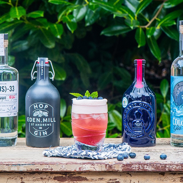 Raspberry and Blueberry Fizz Cocktail