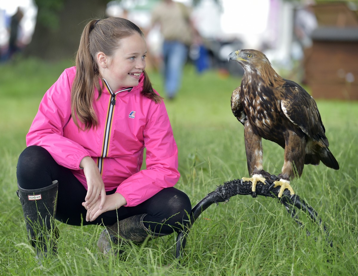 Birds of prey at Scone Palace