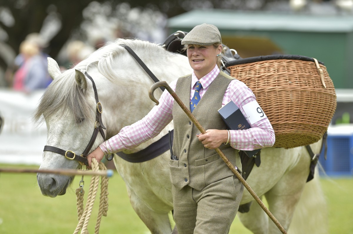 You can lead a horse to the Scottish Game Fair