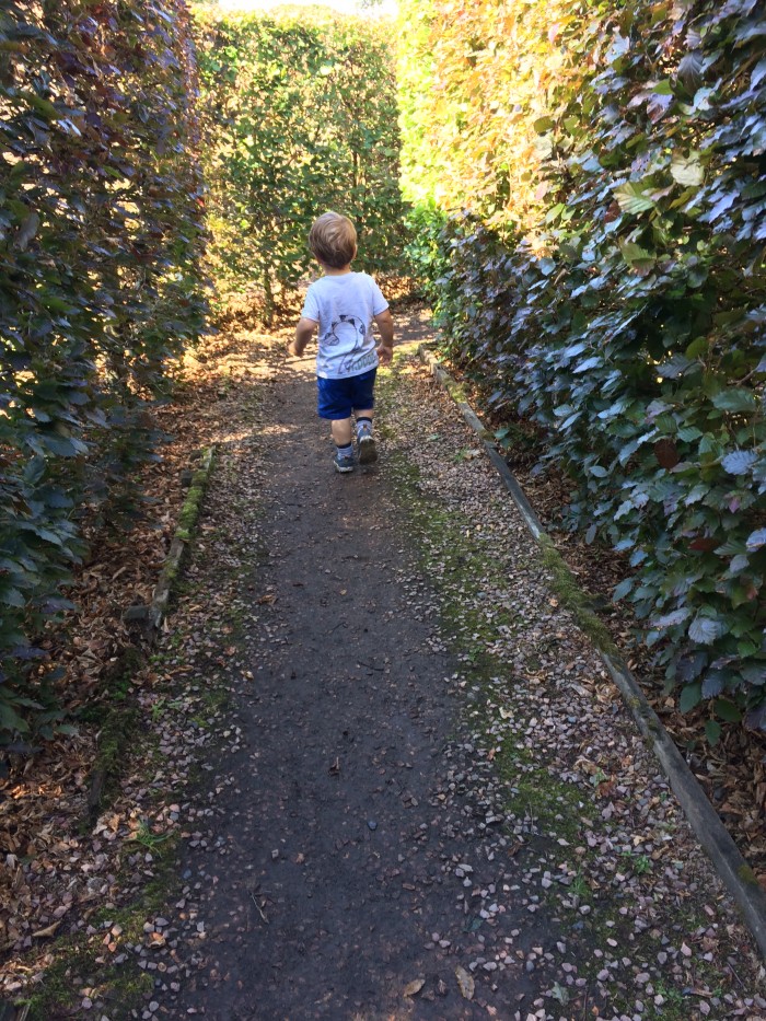 Scone Palace James Maze