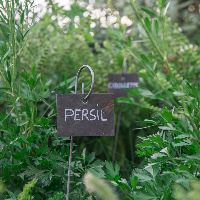 Persil but not the washing powder type!