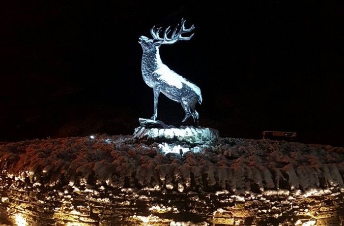 Dunkeld House Hotel Stag