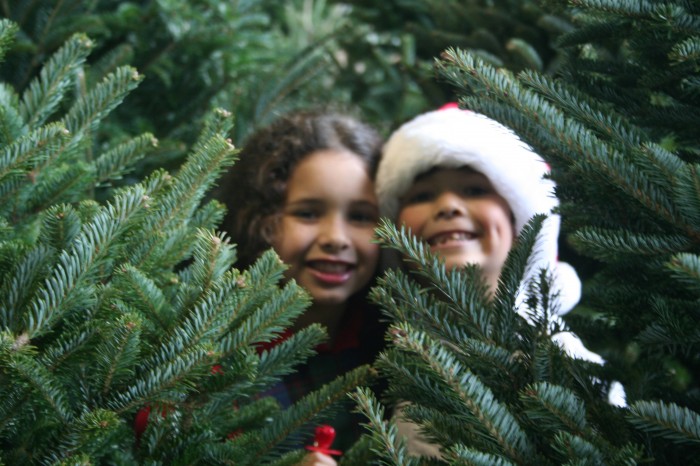 Xmas Feature 2017 - Scone Palace two girls hiding in trees