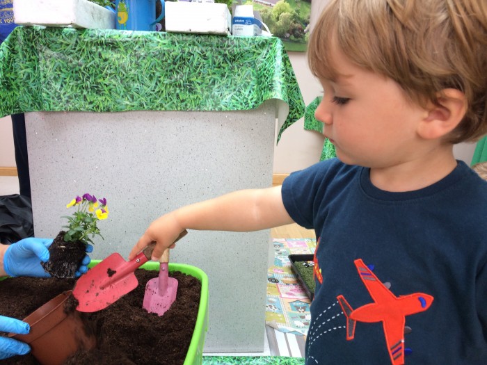 Little Blooms James and Alice