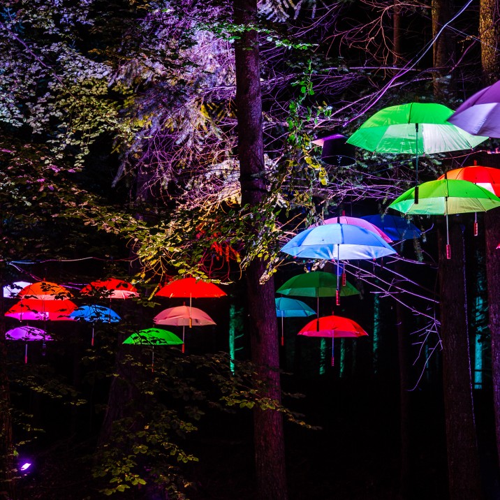 Stand under our umbrellas