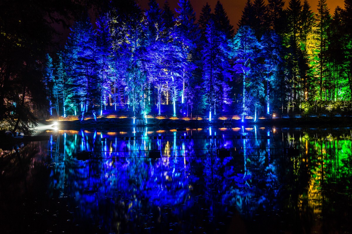 What do you mean you've never seen blue trees?