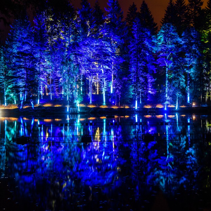 What do you mean you've never seen blue trees?