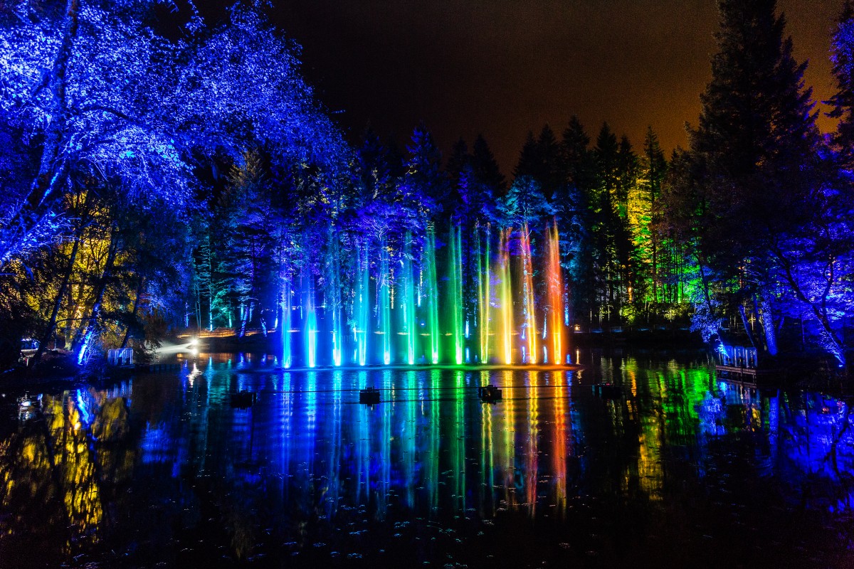 Multicoloured Illuminations