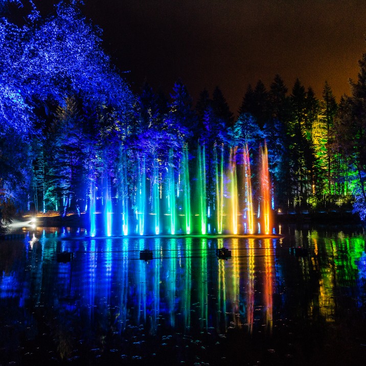 Multicoloured Illuminations