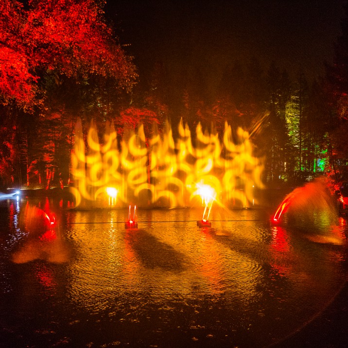 Orange you glad you came?