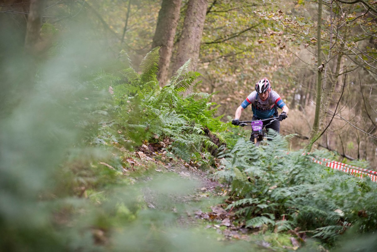 Our intrepid photographer Ian snapped this from the shrubbery.