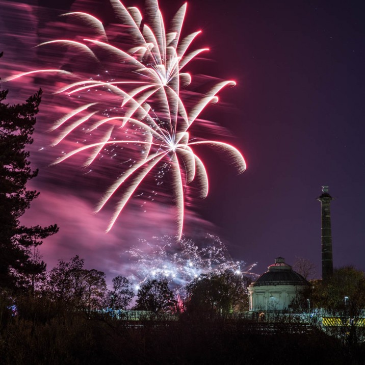 Pink neon fireworks lighting up the sky