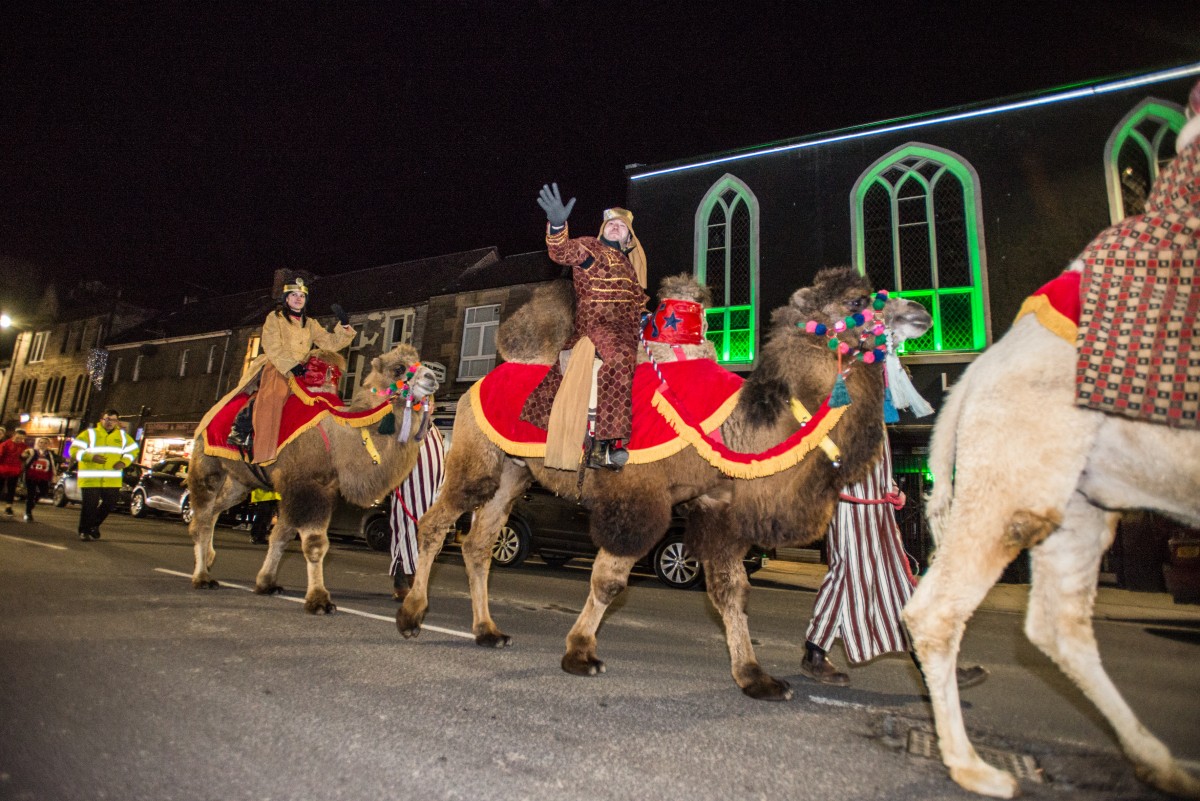 Camels on Parade