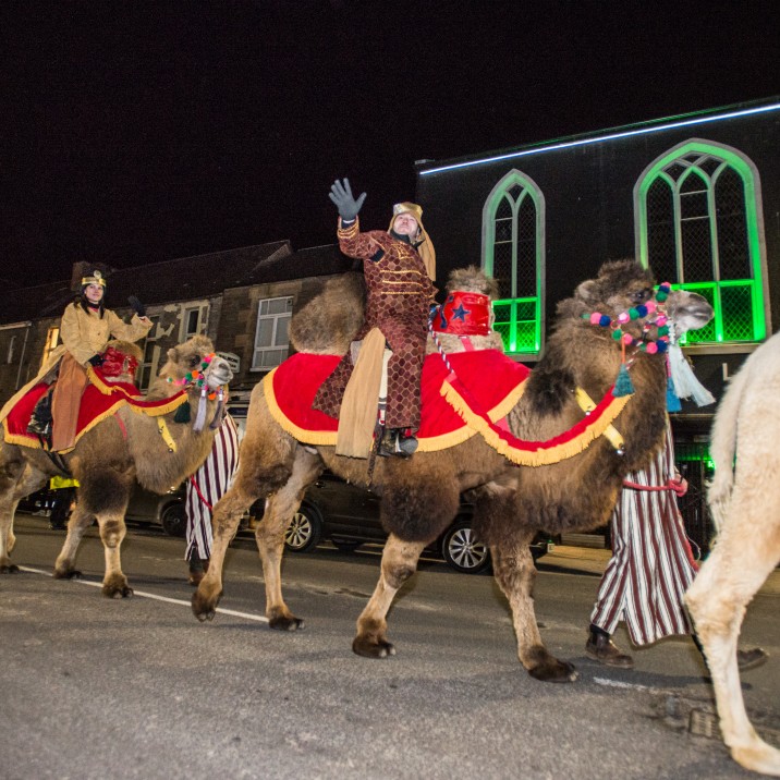 Camels on Parade