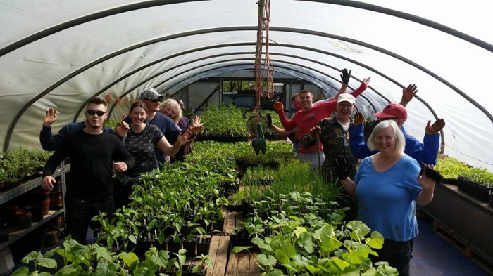 Southton Smallholding- Polytunnel